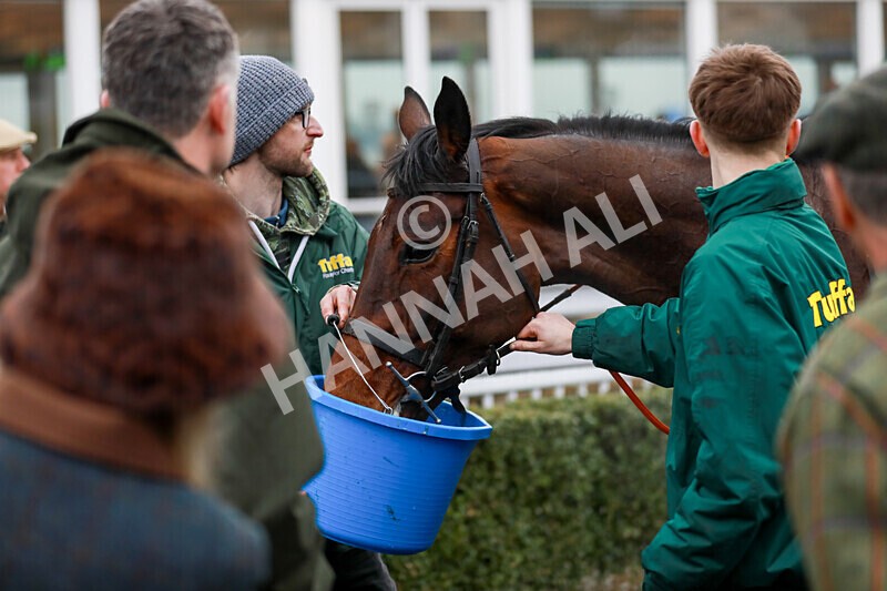 310125-Race 5-The Paddy Pie-4613 - Race 5