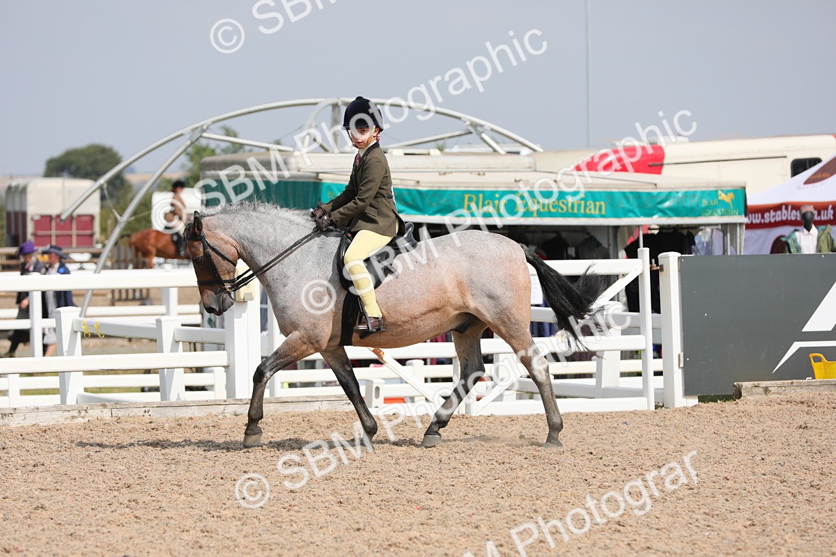 SBM_14723 - Class 310 First Ridden Pony