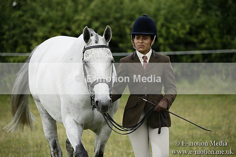 BVR160717-211 - Ring 2 BVRC Show 16/07/17