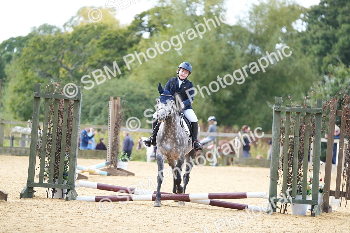 SBM_64447 - J2 - Mini Tour Junior Pony 30cm Championship