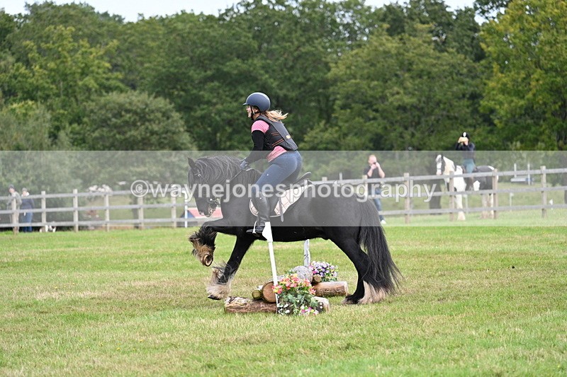 WJ7_7899 - 40cm Time 10:49 to 11:18