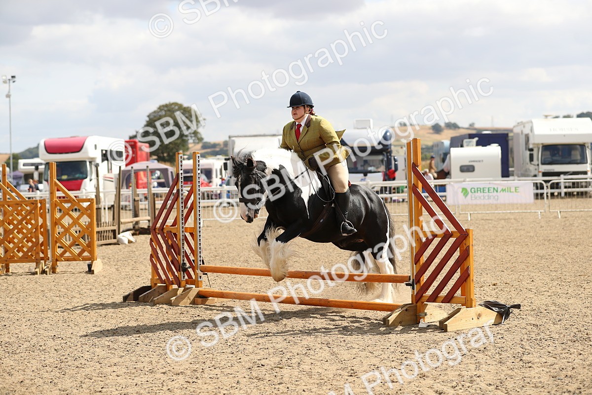 SBM_04244 - Class 46a Style & Performance 50cm (15-19)