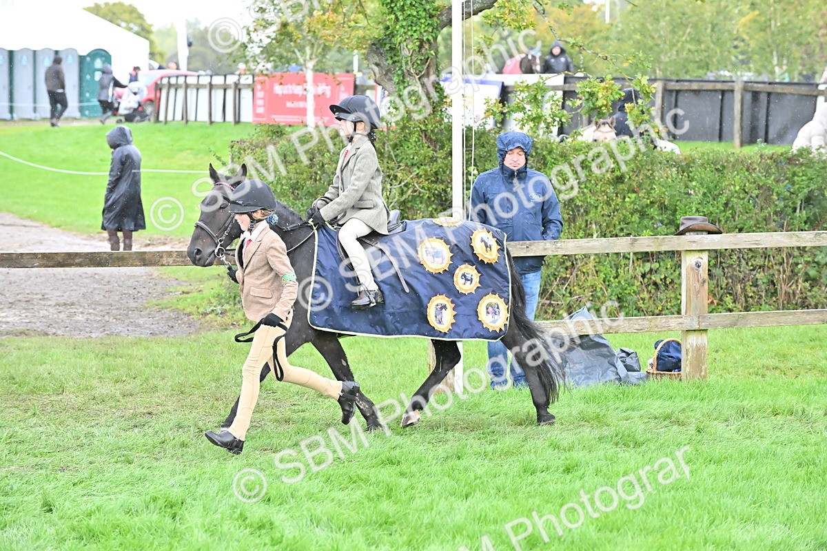 SBM_43002 - S12 - Family Horse & Pony