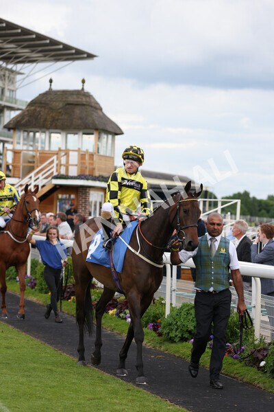 yr22052022r7-8 - Race 7: 6:40pm Sky Bet Sunday Series Fillies' and Mares Stakes
