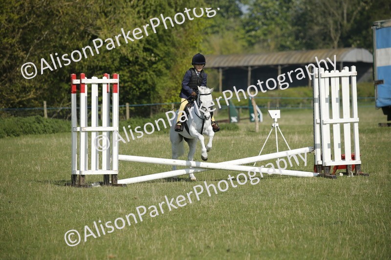 20250427-0286 - Class 12 - Rookie Jumping 40cm