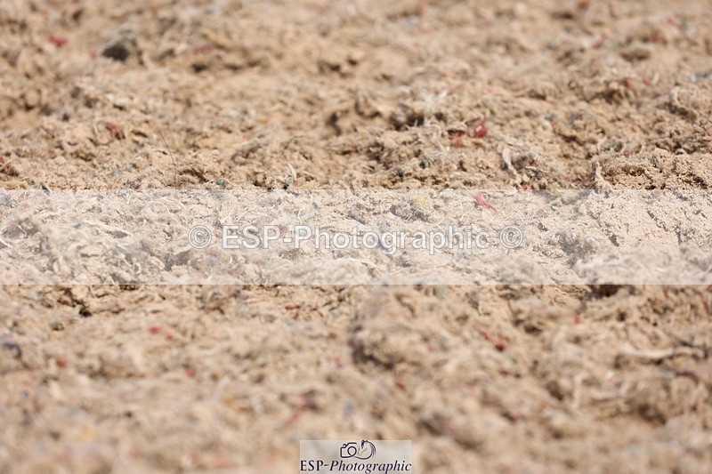 250620-105057-00547 - BD Cls 9 - Freestyle Elementary