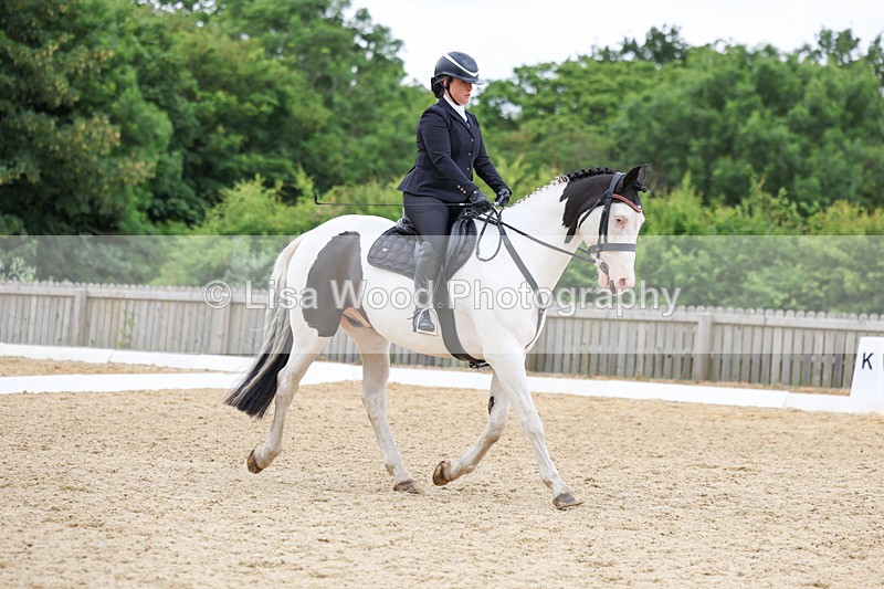 3E7A0796 - Class 6: Novice 1 2024 Section B