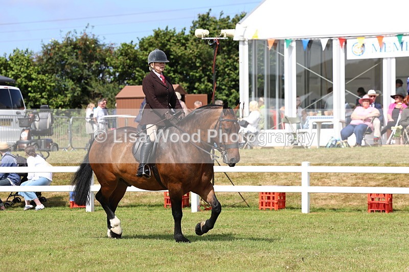 3E7A9861 - Class 5: Rising Star Lightweight/Heavyweight Cobs