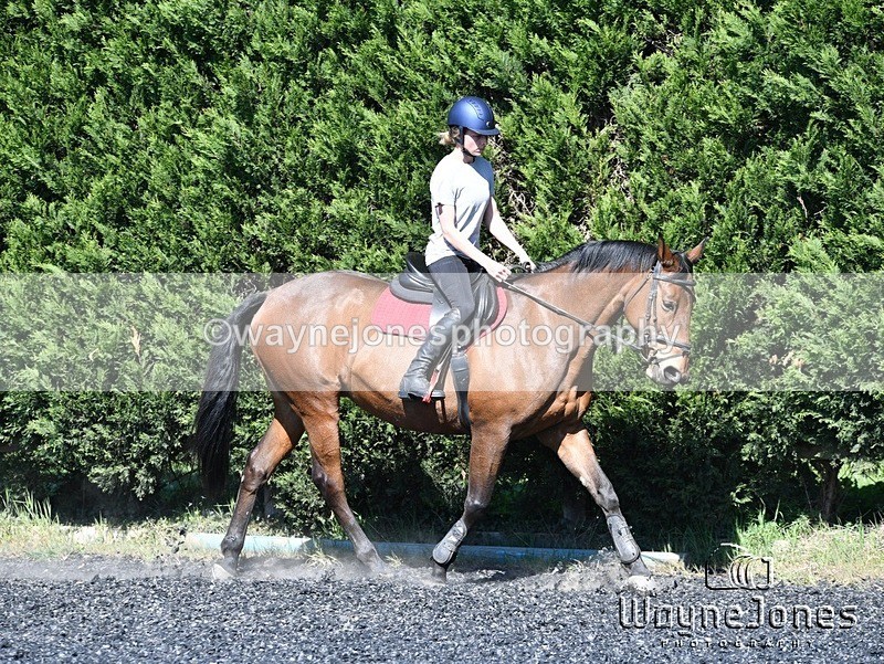 WJ5_1169 - Kelly Harris - Franklin balls, training at Tanners 05-04-25