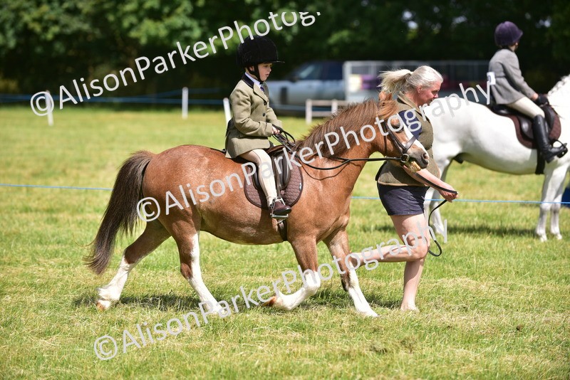 20260614-1155 - Class 11a - Lead Rein Pony (Unplaited)