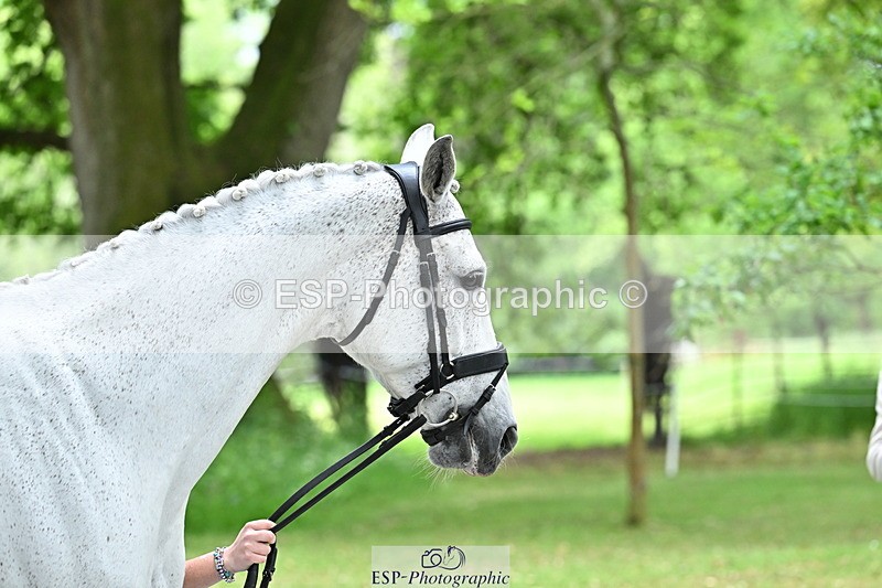 250521A-145017-00277 - A-065-Beatrice.Montgomerie-JAG.WOMANIZER.LADY