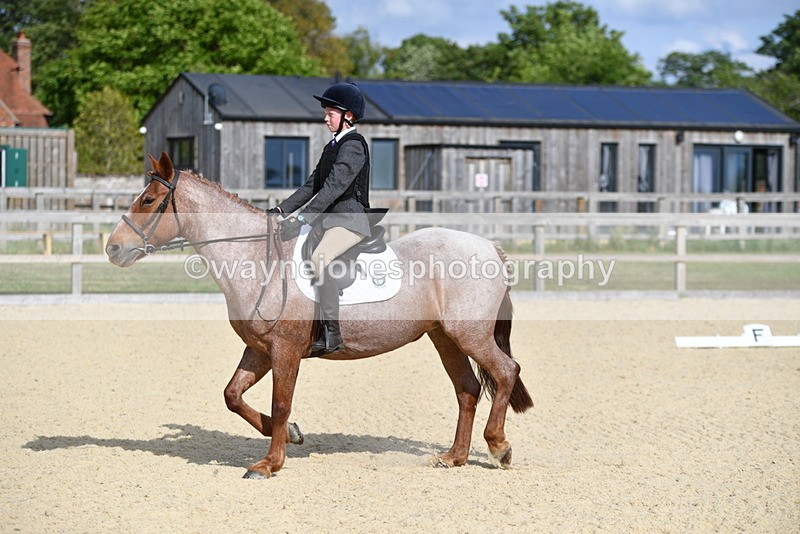 WJ5_7964 - Time 16:56 to 17:14