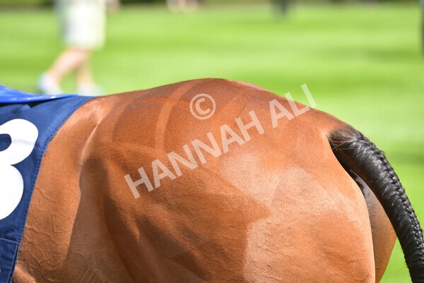 yr09072021r1-6 - Race 1: 2.05pm williamhill.com Best Odds Guaranteed Handicap Stakes