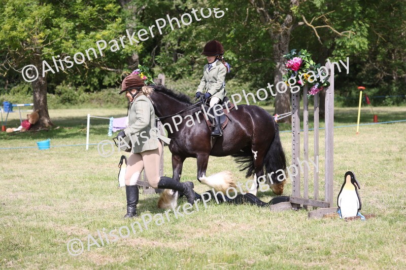 20260614-0629 - Class 20 - Beginners Working Hunter Pony