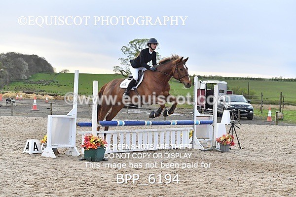 BPP_6194 - CLASS 29 SUN Club/ Unaffiliated 80cms Open