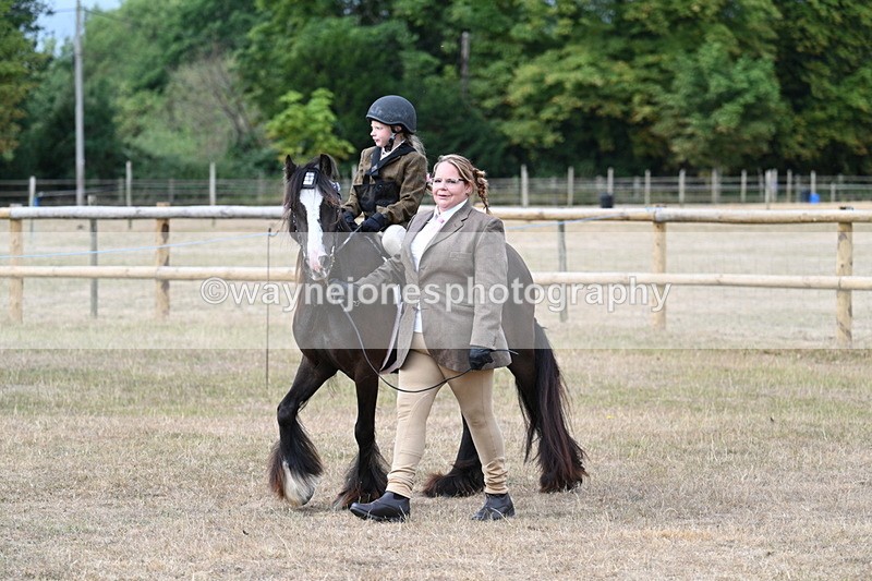WJ7_6315 - Class 1 Lead Rein Pony