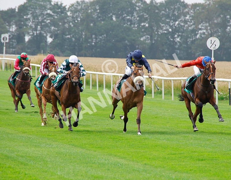 250725-Race 1-Mandarin Spirit-87747 - Race 1