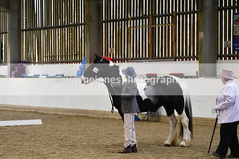 WJ5_4976 - Class 7 In hand coloured / odd coloured