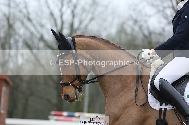 240217A-120133-01925 - 124-Anna.miller-fantabulous