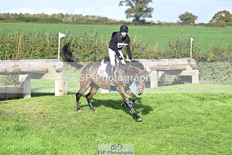 251024A-112245-07392 - A-017-Harrison.Chart