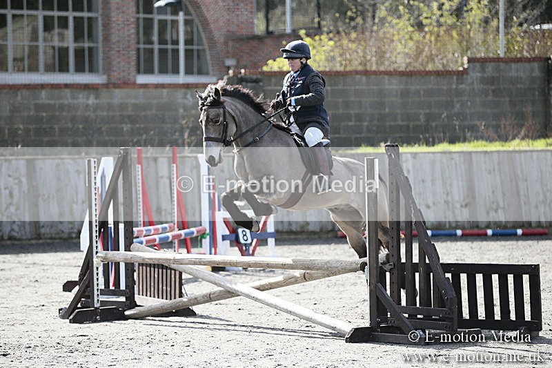 BVRC SJ 170319 193 - Bourne Valley Riding Club Showjumping 17/03/19