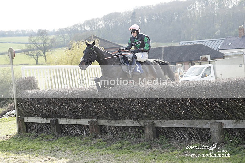 PtP 080423 820 - Dingley Races The Woodland Pytchley Hunt PtP 08/04/23