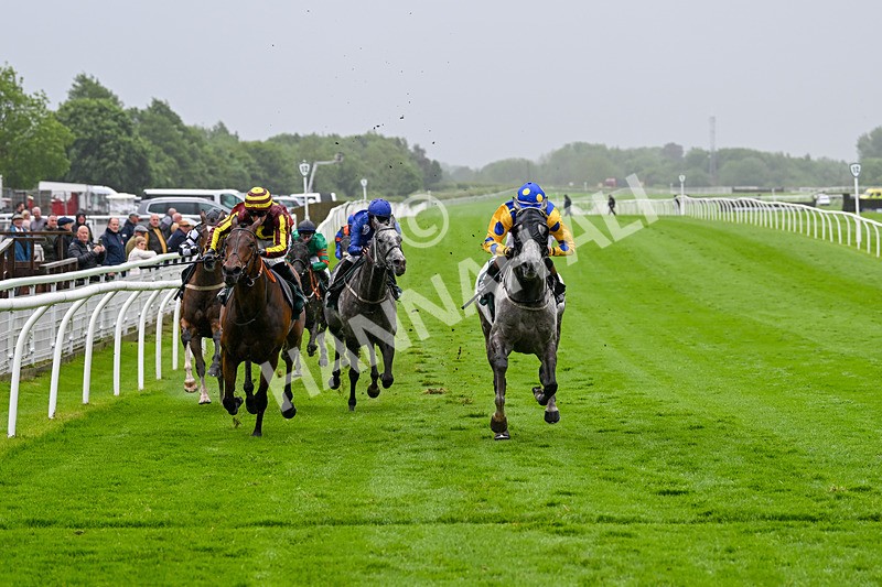 230524-Race 5-King Of Tonga-1828 - Race 5