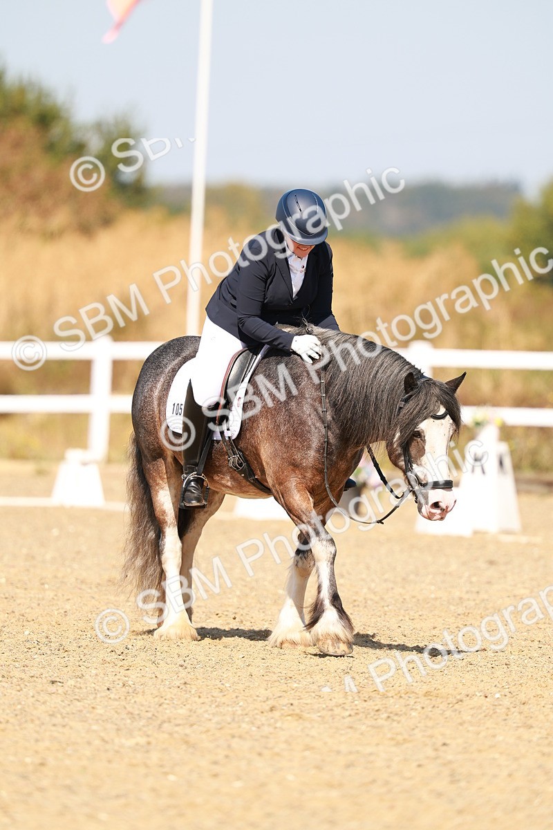 SBM_017813 - Class 9 - N5 Bronze 10.33.11.36