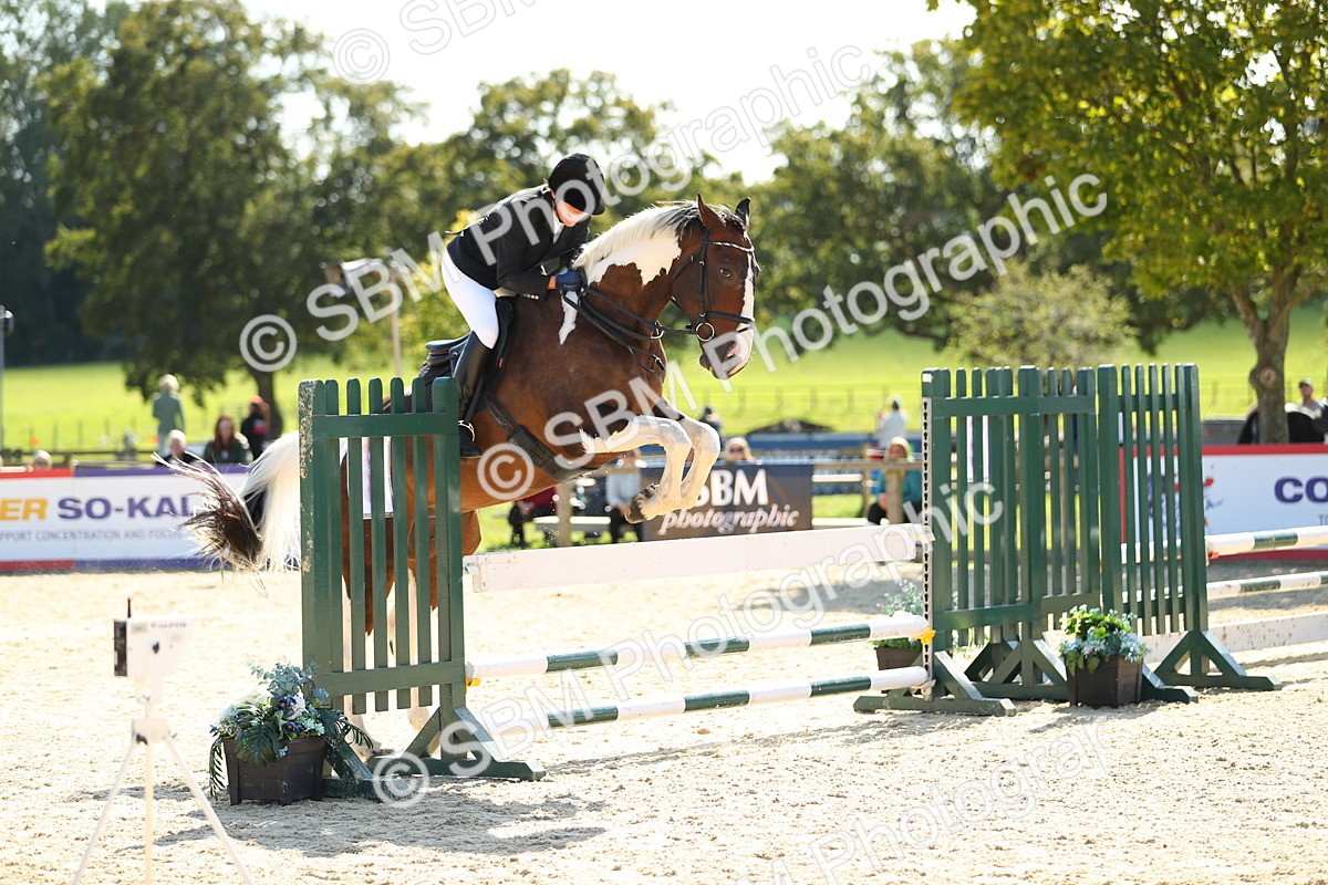 SBM_23887 - J45 - Accumulator 70 80cm