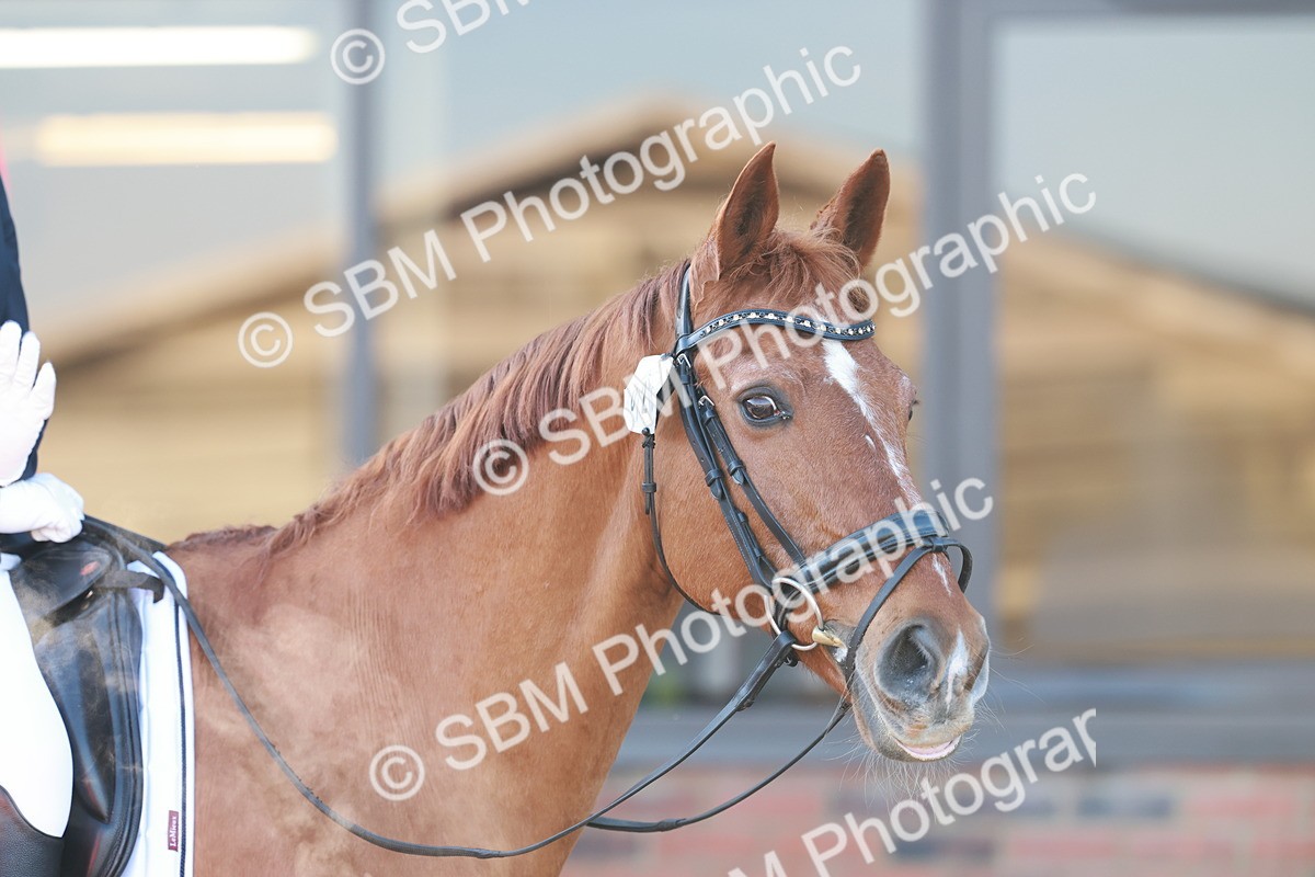 0B8A0924 - Class 2 - Intro 2