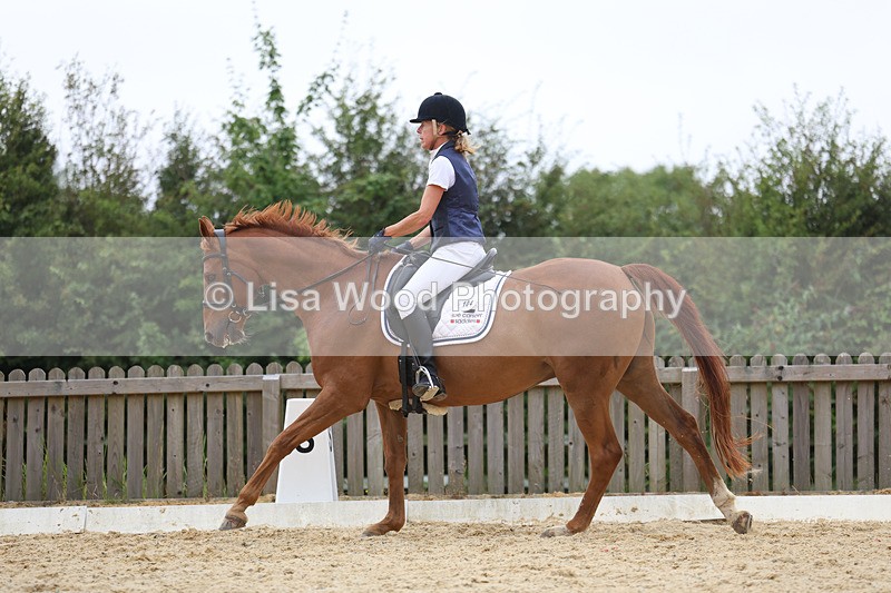 3E7A7216 - Class 9: Elementary 4 2024 - No sections