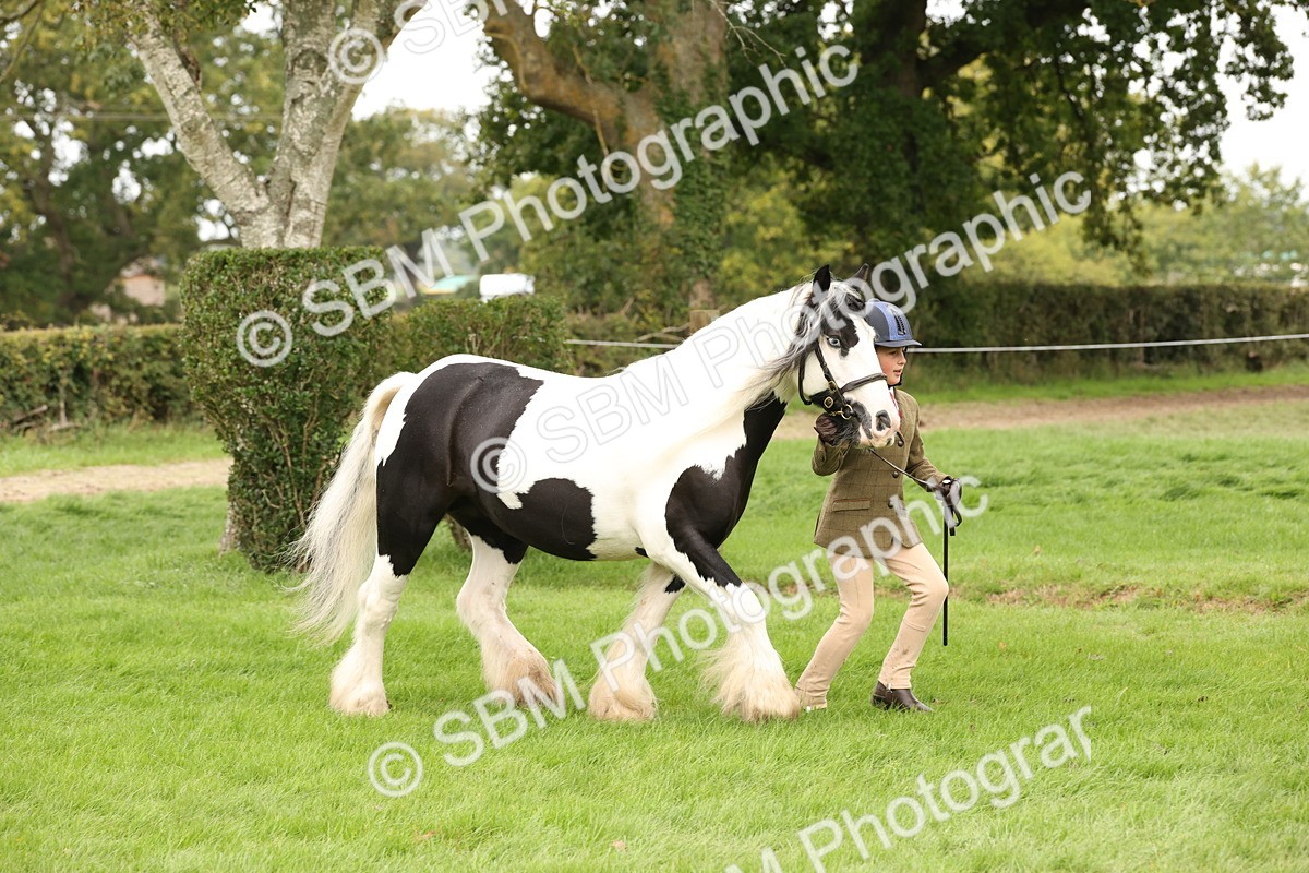 SBM_59244 - S57 - Traditional Cob In Hand