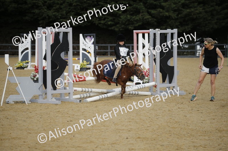 20250622-1356 - 40cm