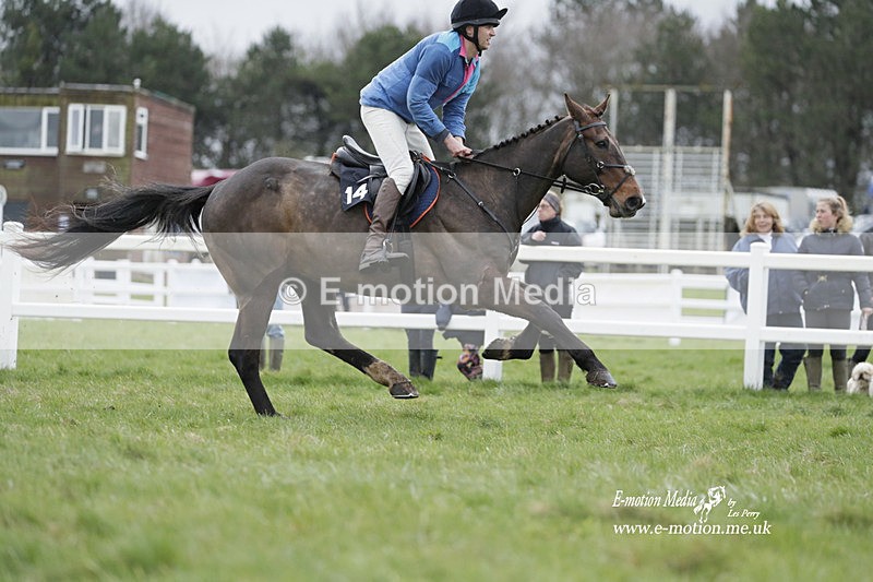 PtP 260323 0244 - New Forest Hounds Point-to-Point Larkhill 26/03/23