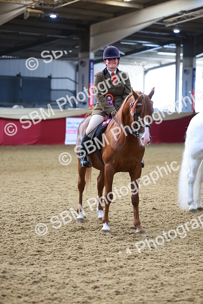 SBM_07757 - Class 101 - HOYS Veteran Qualifier - Ridden Diamond