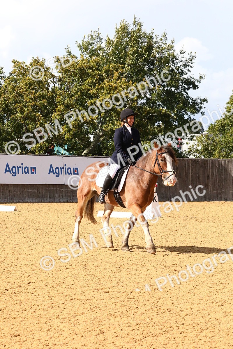 SBM_23594 - D5 - Small Tour Championshop Intro 2