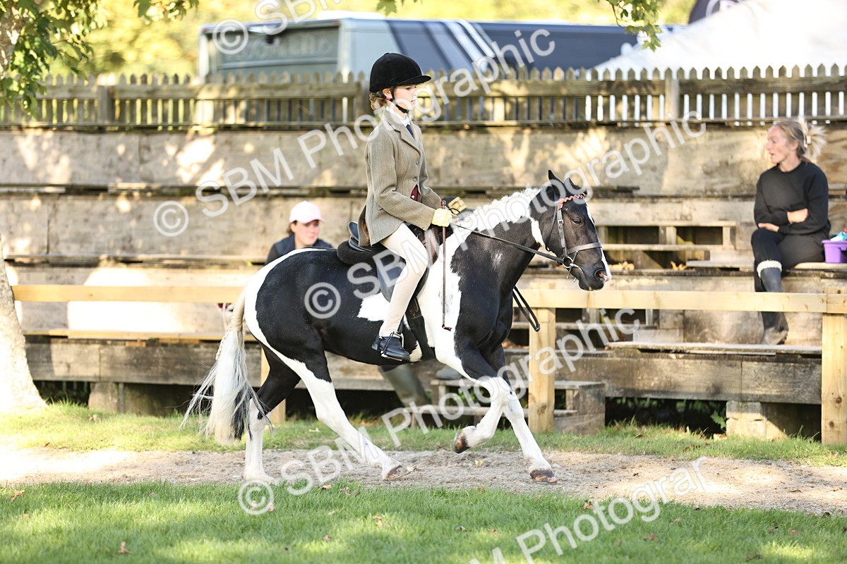SBM_29444 - S7 - Novice & Newcomers Ridden Pony