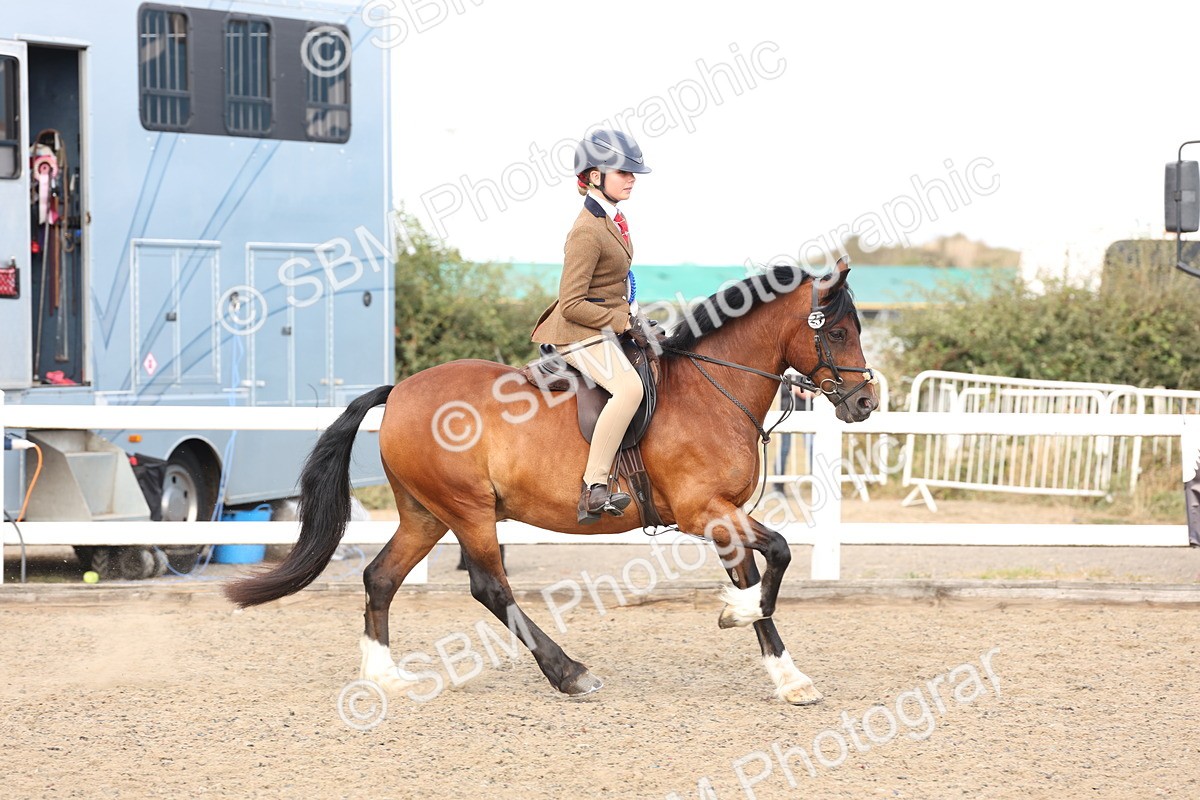 SBM_07425 - Class 58b -  Style & Performance - 70cm (20+)