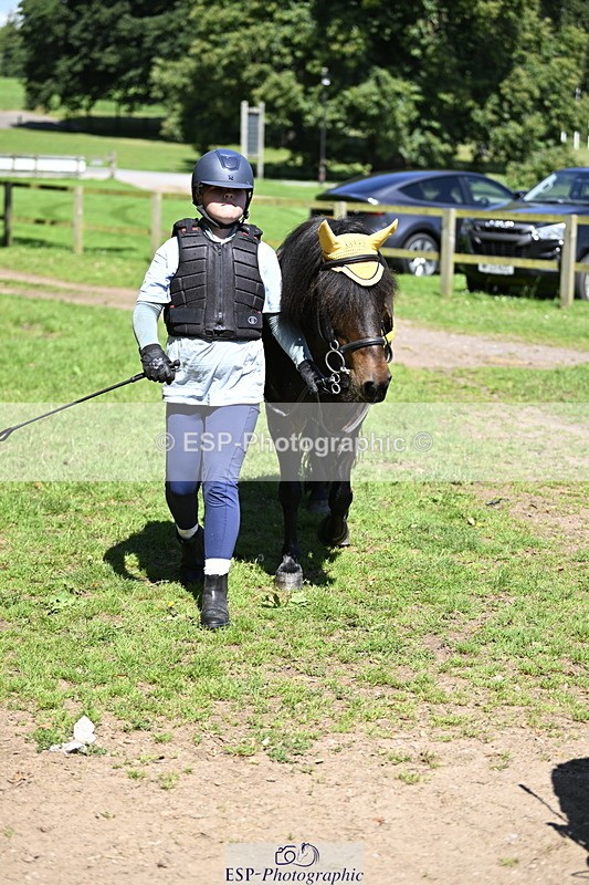 240728B-113615-00307 - Sunday Stable Shots and Fancy Dress