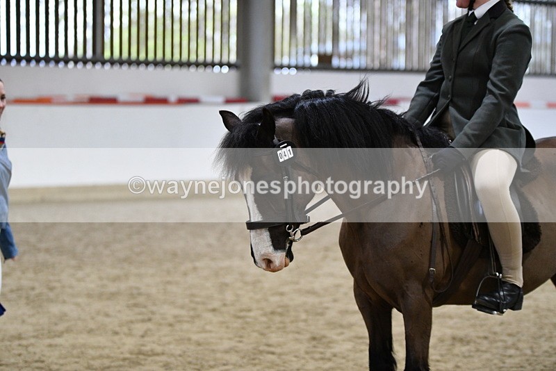 WJ5_7221 - Class 11 Ridden PC - RC Pony