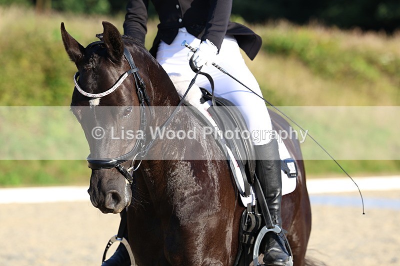 3E7A4303 - Class 5: Novice 1 2024 Section A