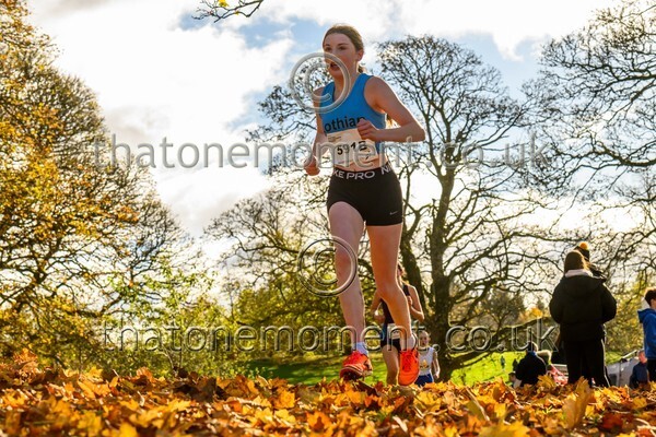 NatRel25-913658 - Young Female Set Two