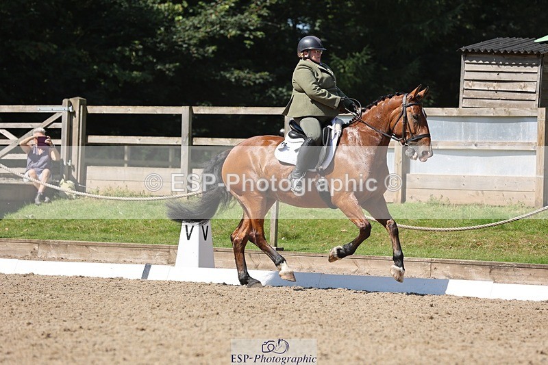 240719-105342-00807 - 169-Marion_Eaves-Indigo_Queen_of_Hearts