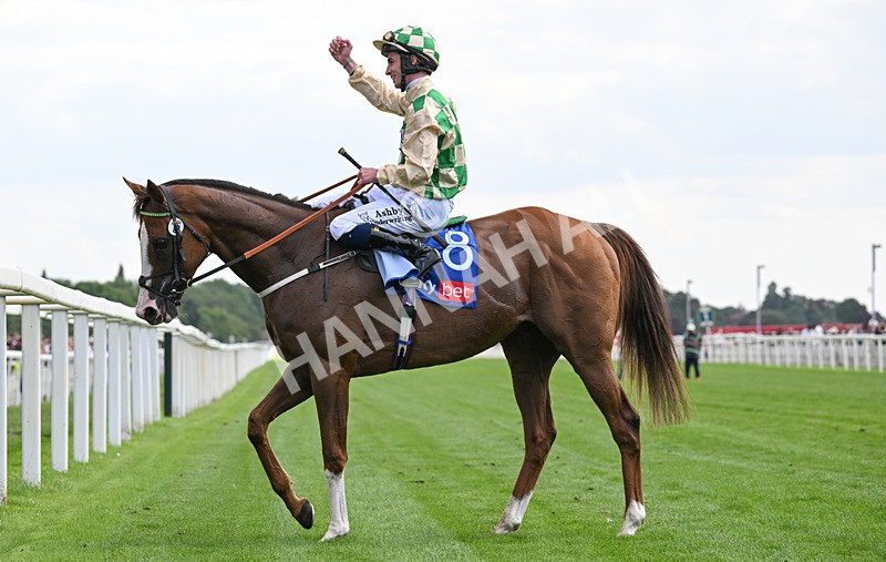 220826-158 Daiquiri Bay - Race 4 15.35pm Sky Bet Ebor Handicap