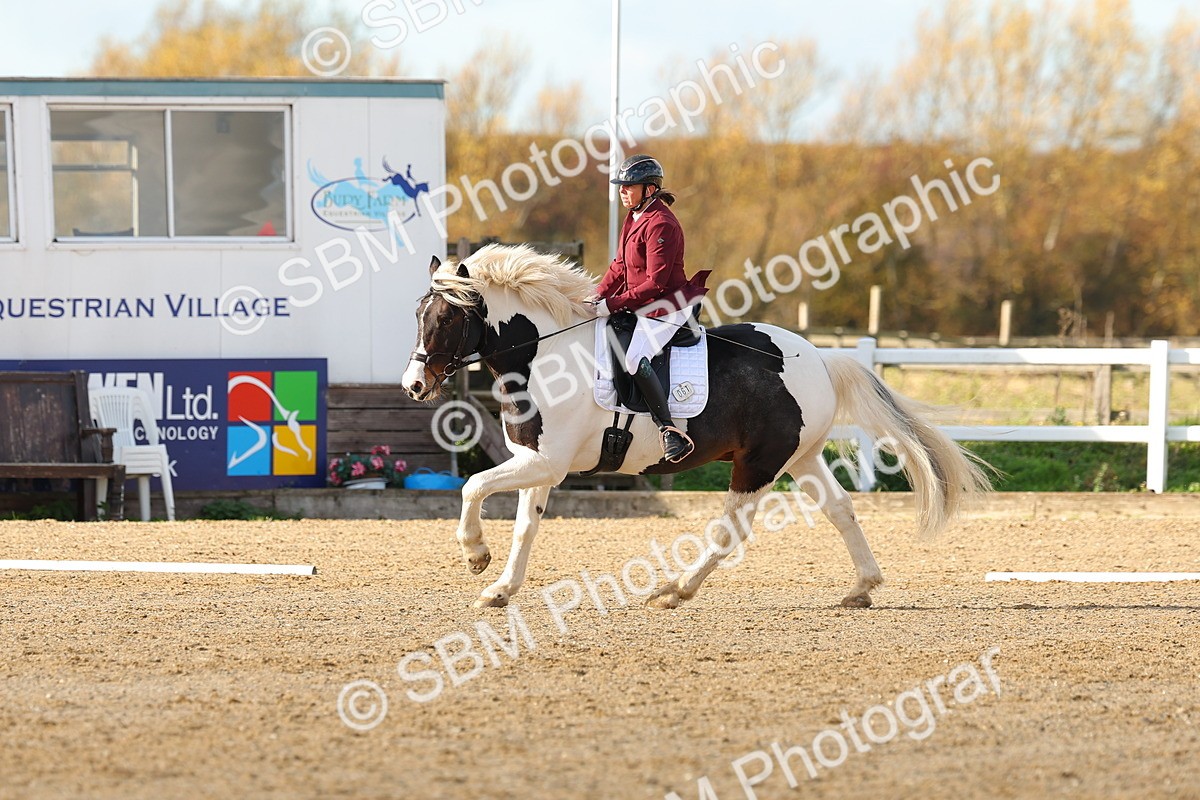 SBM_000828 - Novice 5