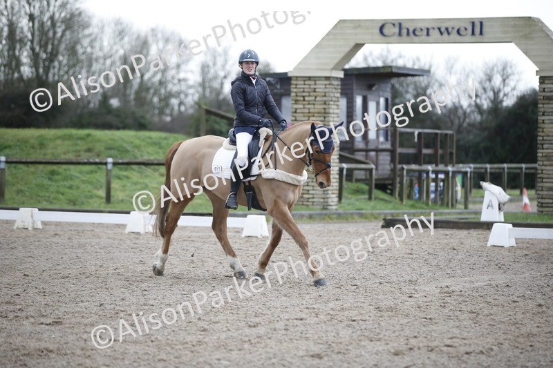 20260127-0320 - Class 16 - BD Novice 2