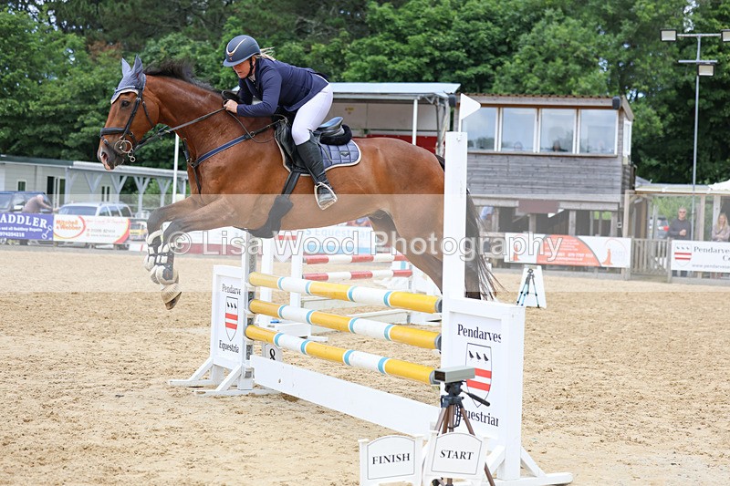 3E7A3247 - Class 4: Senior British Novice/90cm open