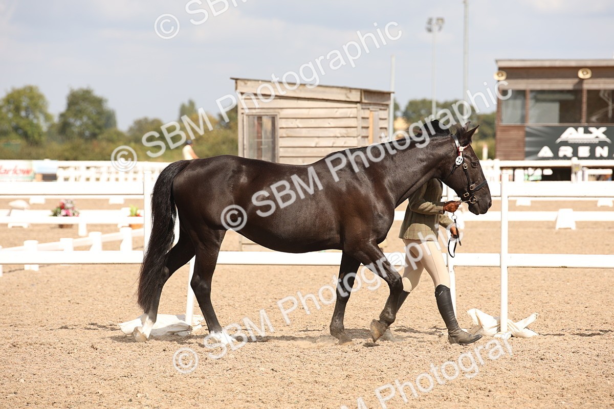 SBM_04523 - Class 20 IH Veteran