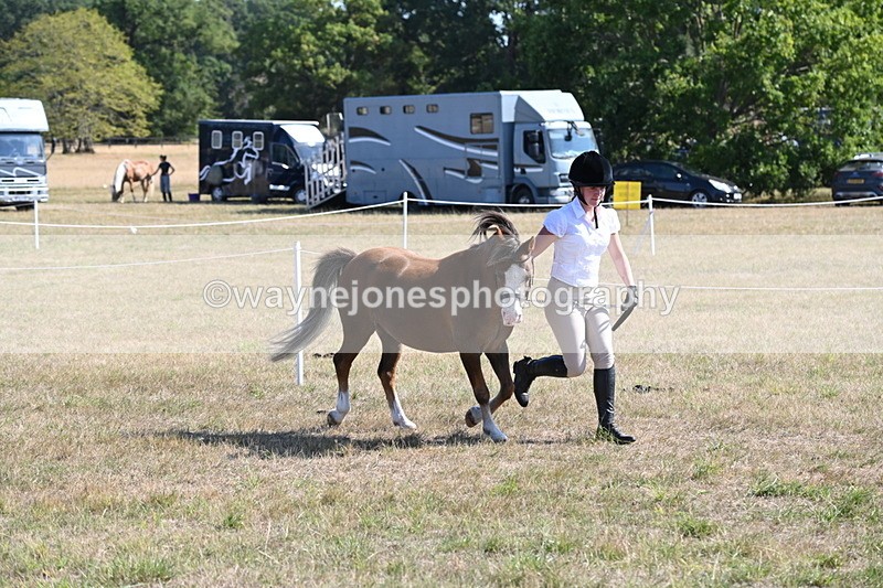 WJ6_7491 - Class 34 Judges Choice