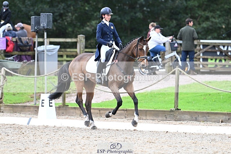 231019-122523-02762 - 044-COOLEY.ON.THE.CARDS-Charlotte.Cooke-DR